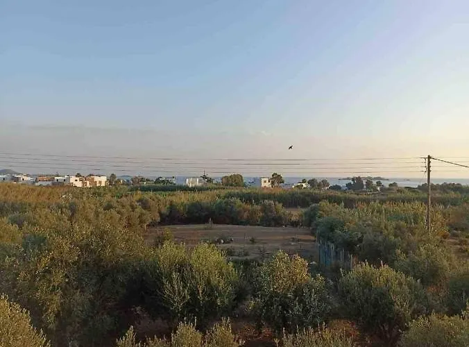 Apartamento Eleonas I *