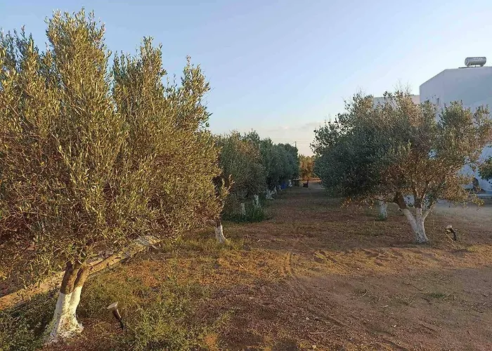 Eleonas I Appartement